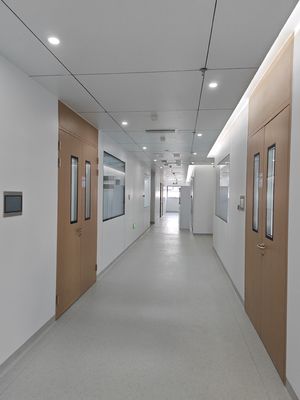ซื้อ ไม้เมล็ดเหล็ก Double Cleanroom Swing Door โรงพยาบาล ประตูโลหะที่มีสายตากระจก online manufacture